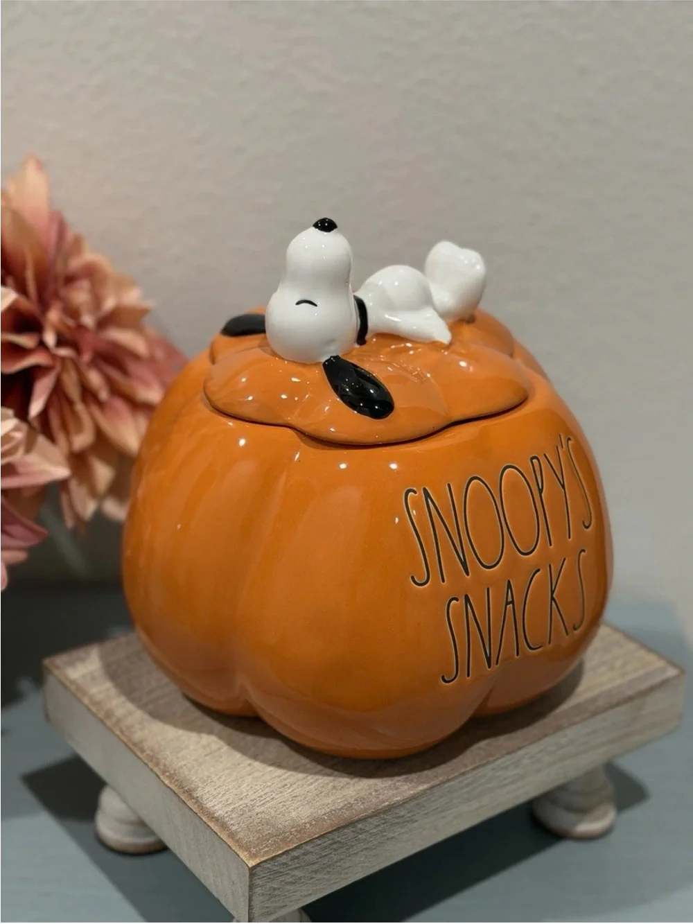 Rae Dunn x Peanuts Snoopy's Snacks Halloween Pumpkin Cookie Jar. Pet Treats